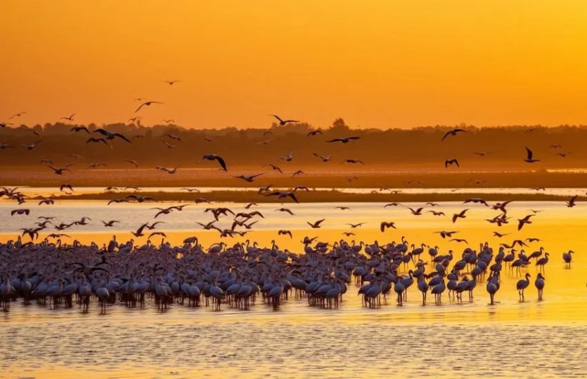 Bundala National Park