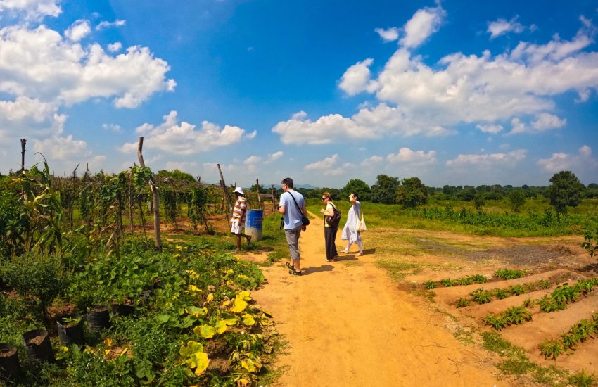 Thaulle Eco Farm