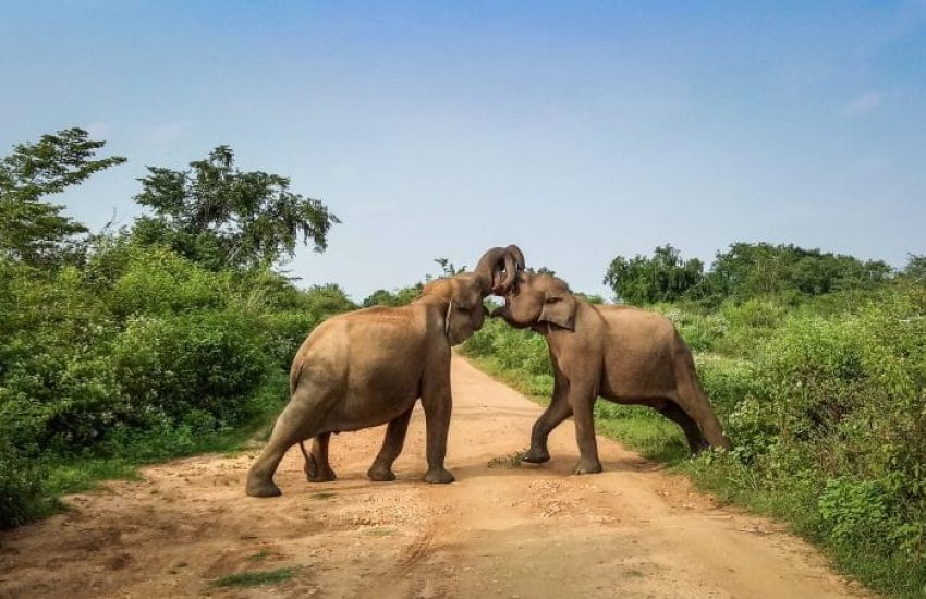 IMG20181211161538-700x466