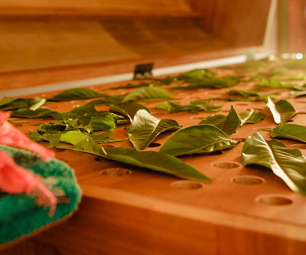 Thaulle-Resort-Sri-Lanka-Ayurveda-Cure-Steam-Bath