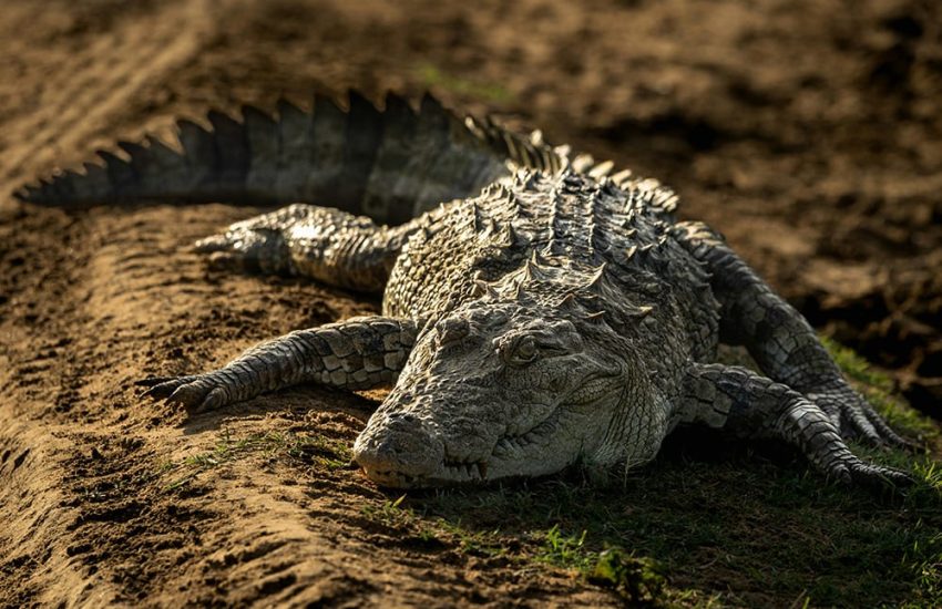 anupa-uthsara-tZrcJwXNvwc-unsplash