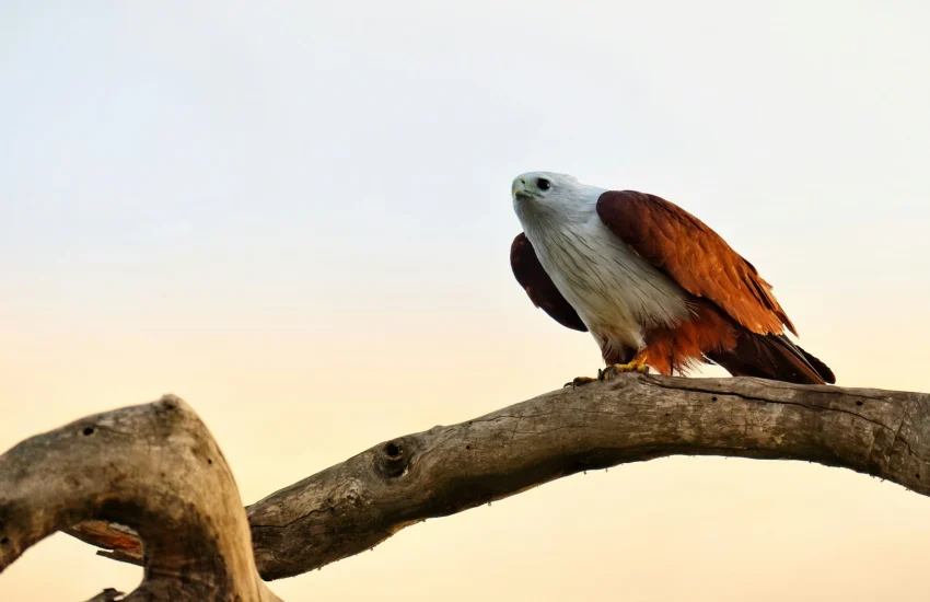 dulana-kodithuwakku-YxpO2BAI7lQ-unsplash