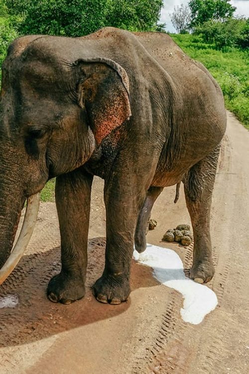 matt-dany-0onMYR4QYts-unsplash