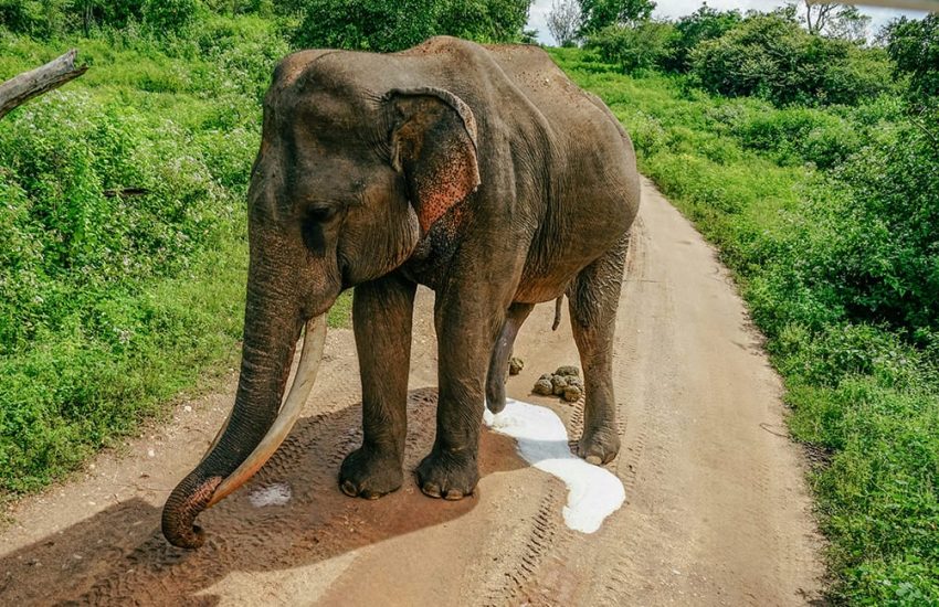 matt-dany-0onMYR4QYts-unsplash