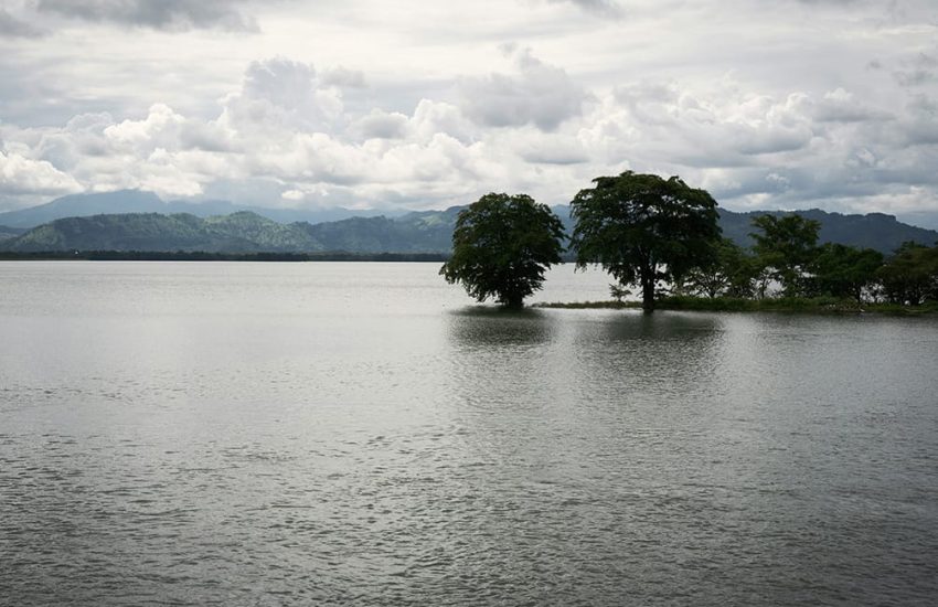 mosharraf-hossain-71Z14dWVYwE-unsplash