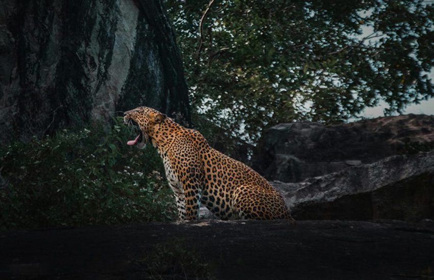 tommaso-delton-_sFOJHDmO6A-unsplash